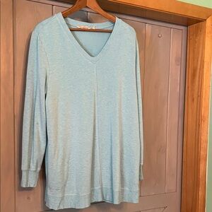 Soft Surroundings Sky Blue Long Sleeve V-Neck Top